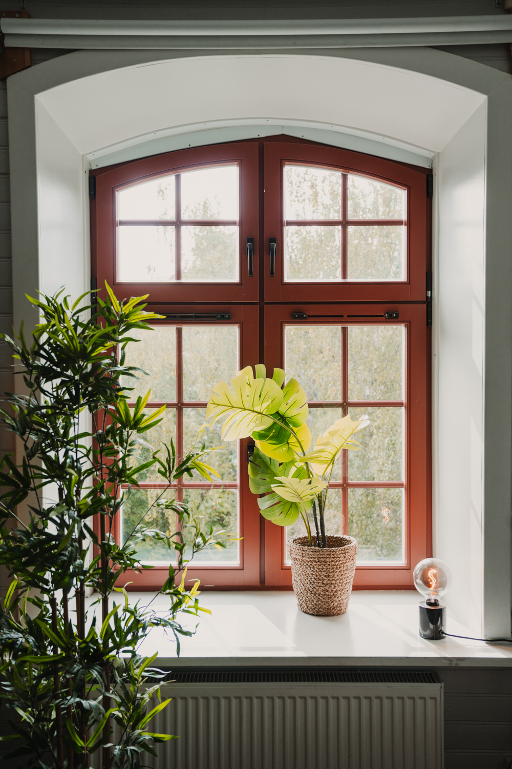 En bild av två plantor som står i och intill ett fönster, samt utblick över grönska genom fönstret